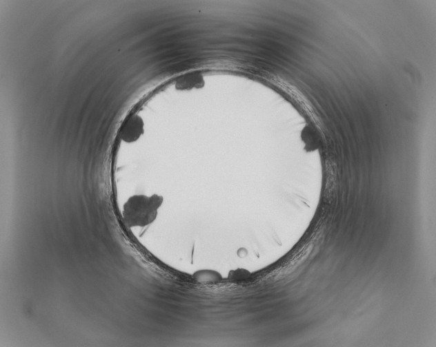 X0000111370939200908211315