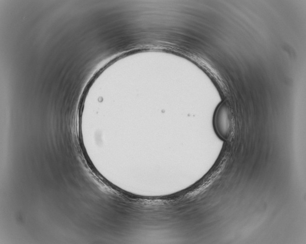 X0000111370940200908211315