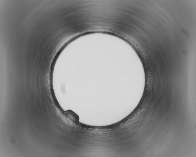 X0000111370942200908211315