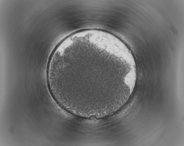 X0000111370943200908211315