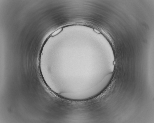 X0000111370944200908211315
