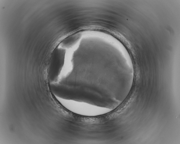 X0000111370945200908211315