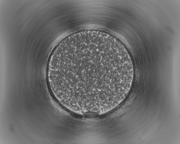 X0000111370946200908211315