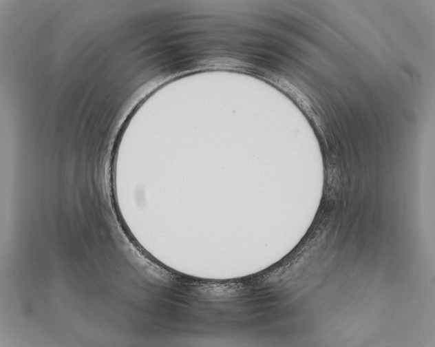 X0000111370947200908211315