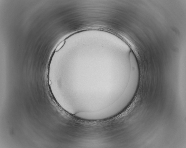 X0000111370948200908211315