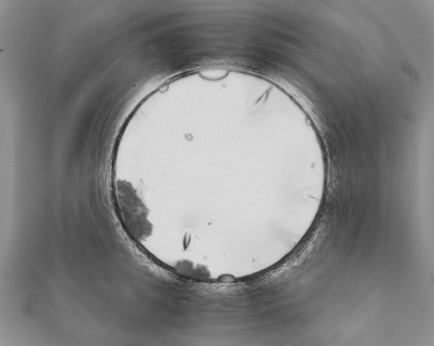 X0000111370949200908211315