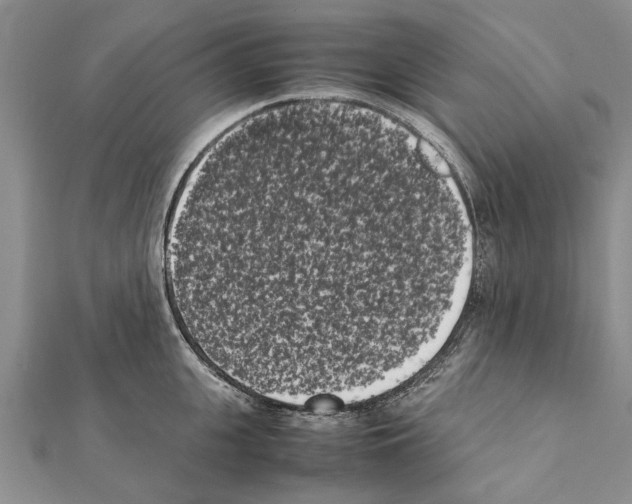 X0000111370951200908211315
