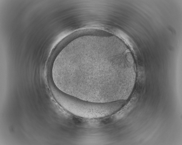 X0000111370952200908211315