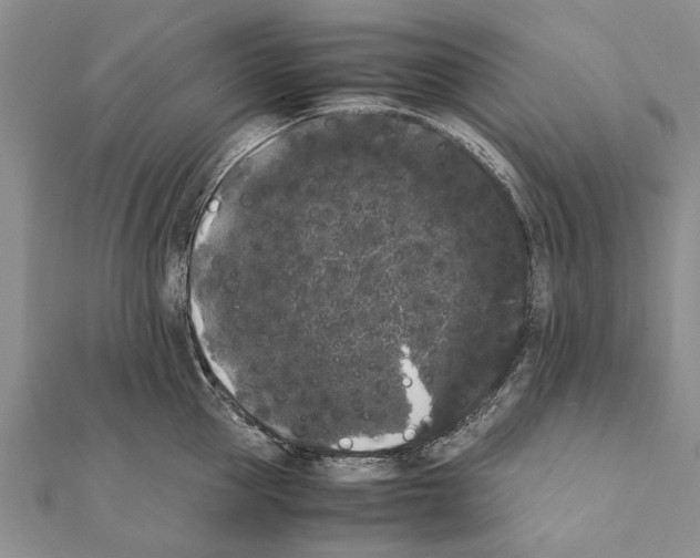 X0000111370953200908211315