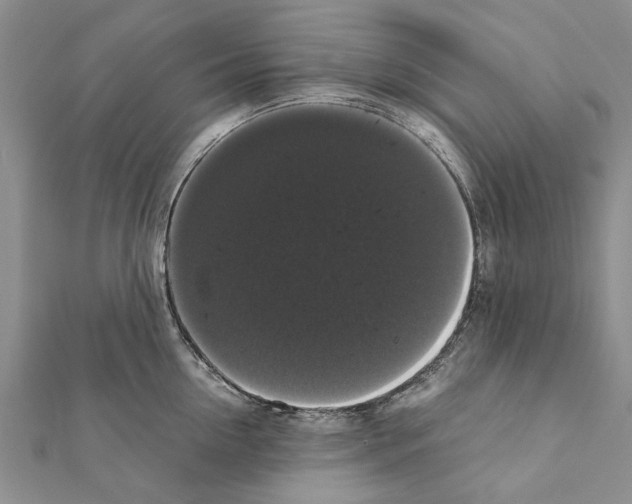 X0000111370954200908211315