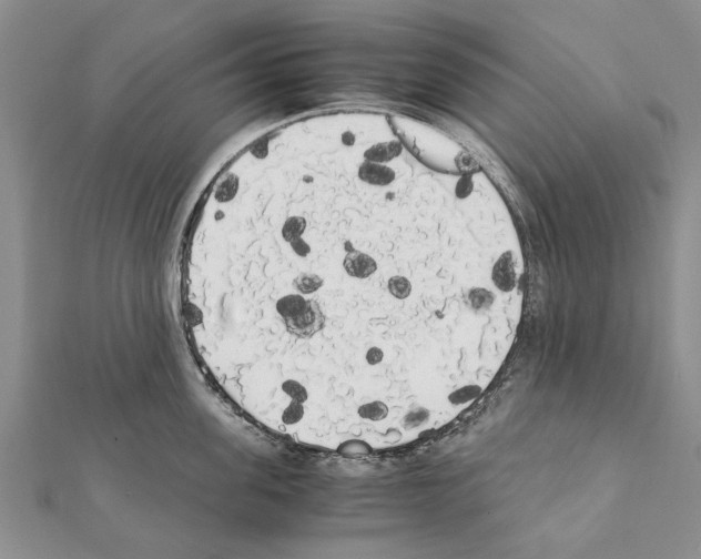 X0000111370955200908211315