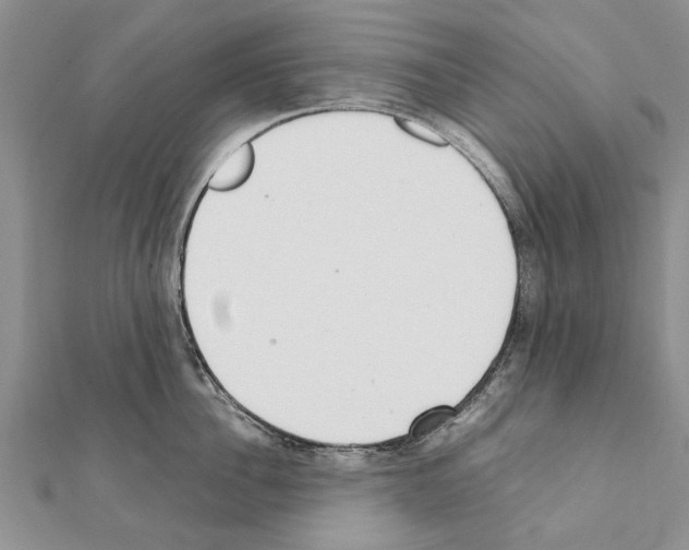 X0000111370956200908211315