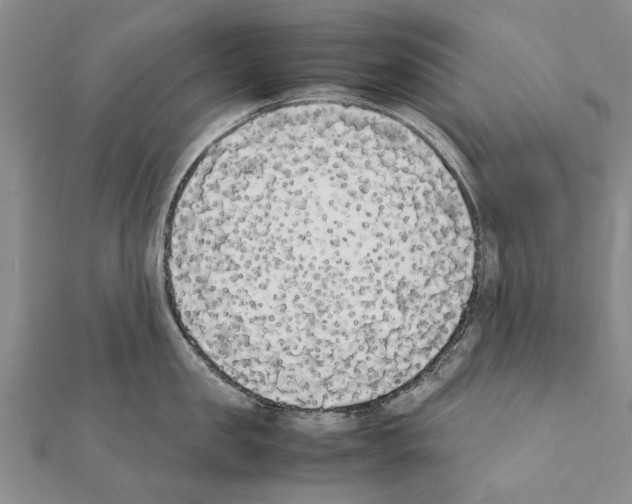 X0000111370957200908211315