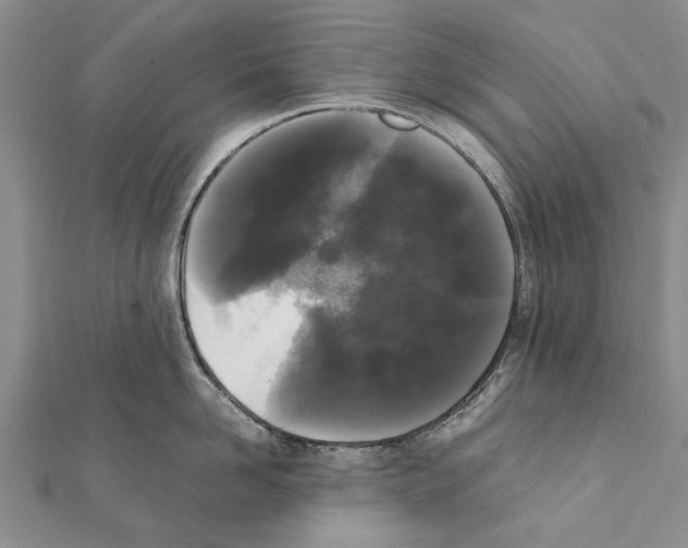 X0000111370958200908211315