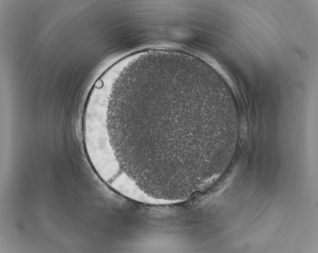 X0000111370959200908211315