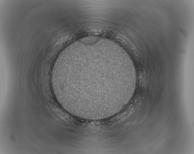 X0000111370961200908211315