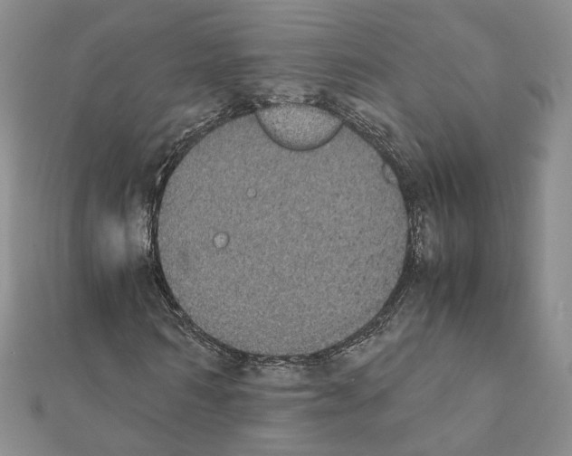 X0000111370962200908211315