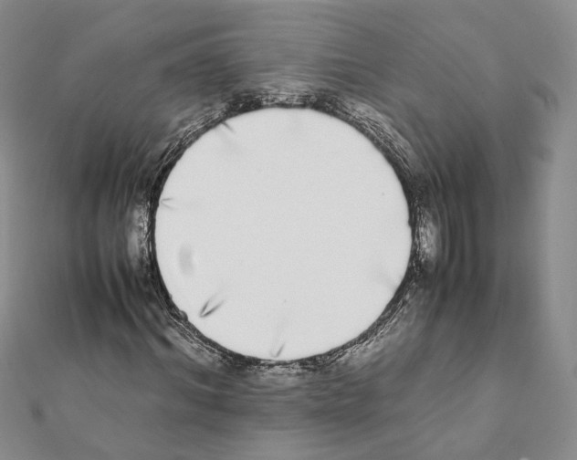 X0000111370964200908211315