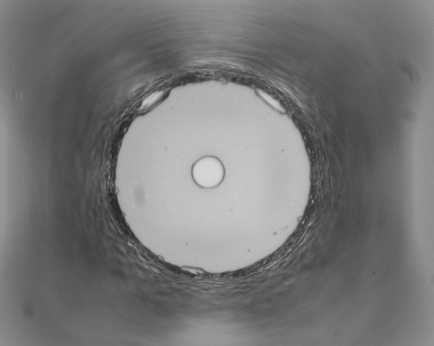 X0000111370965200908211315