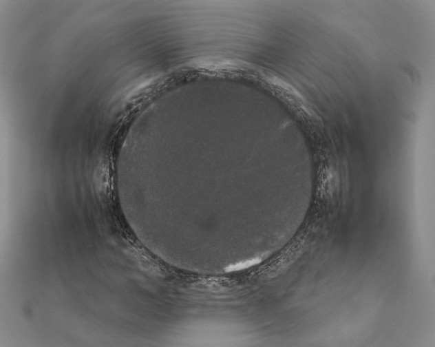 X0000111370966200908211315