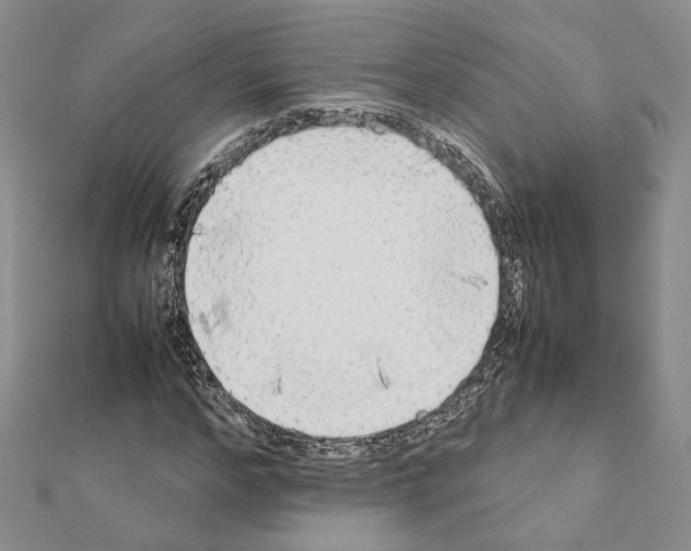 X0000111370968200908211315