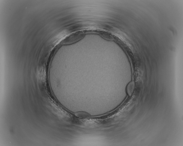 X0000111370969200908211315