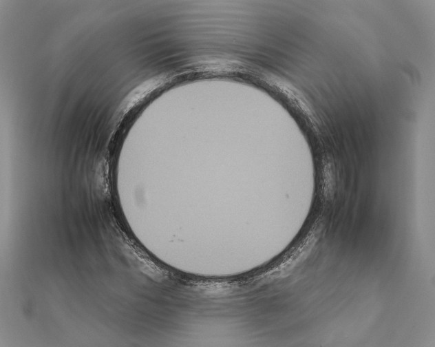 X0000111370970200908211315