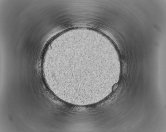 X0000111370971200908211315