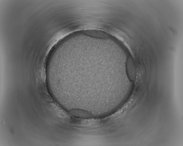 X0000111370973200908211315