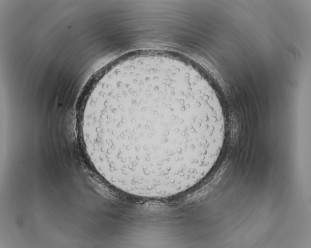 X0000111370974200908211315