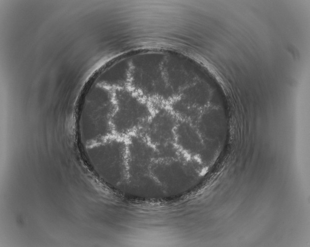 X0000111370975200908211315