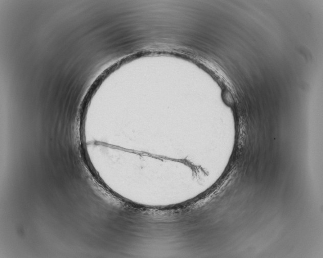 X0000111370976200908211315