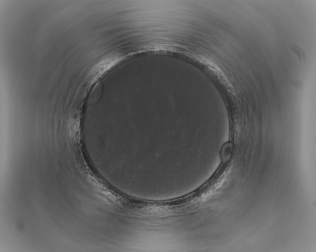 X0000111370977200908211315
