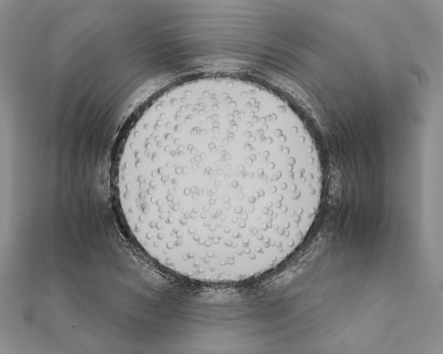 X0000111370978200908211315