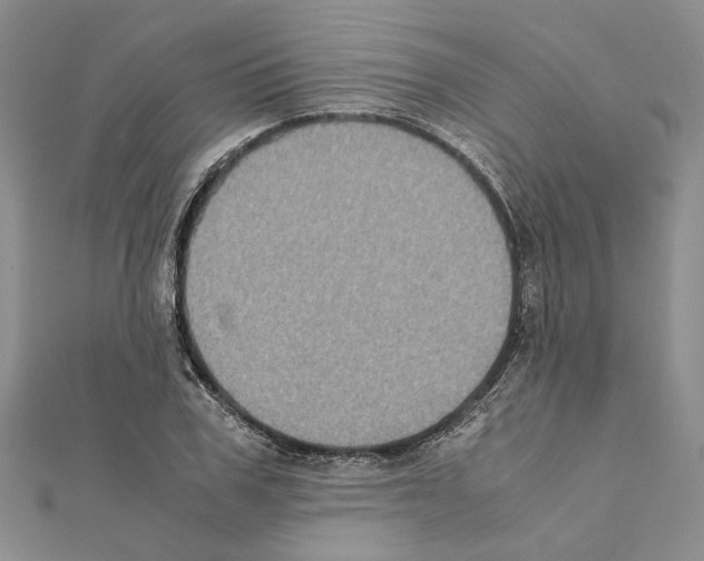 X0000111370979200908211315