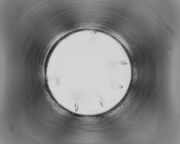 X0000111370980200908211315
