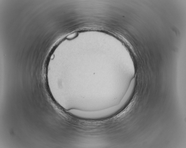 X0000111370981200908211315
