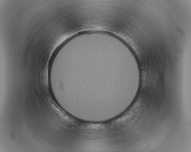 X0000111370982200908211315