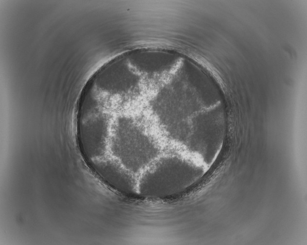 X0000111370983200908211315