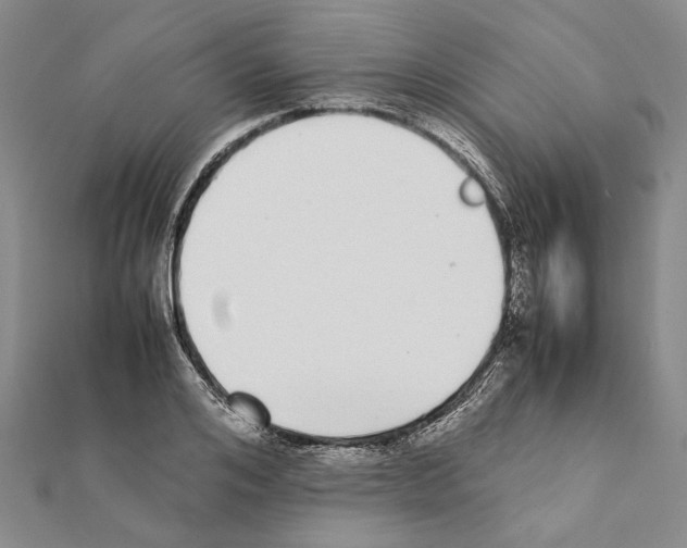 X0000111370984200908211315