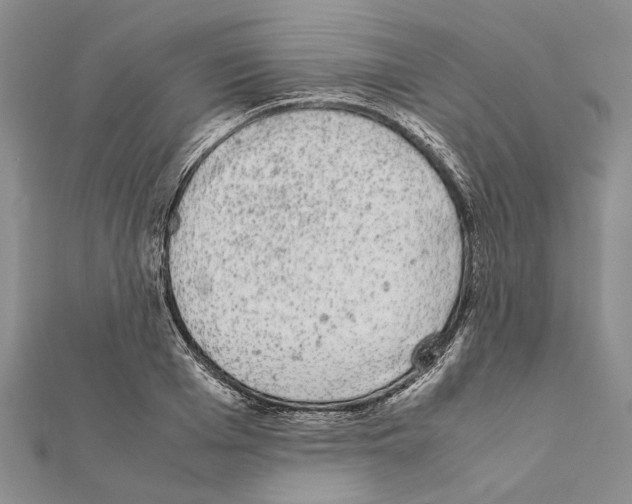 X0000111370985200908211314