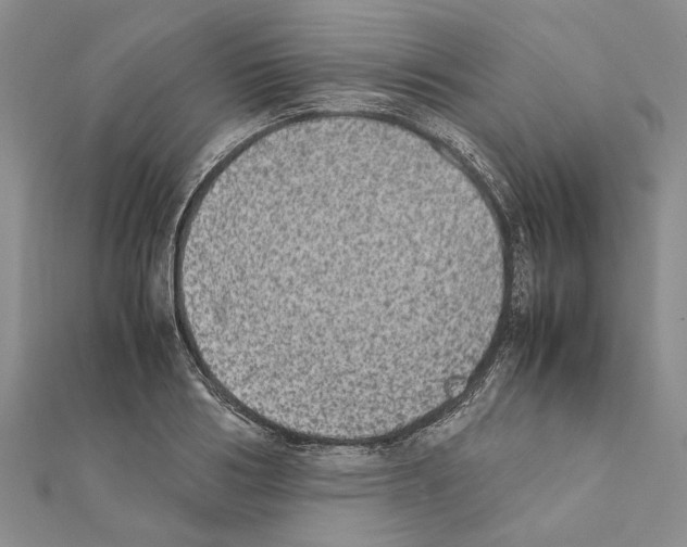X0000111370986200908211314