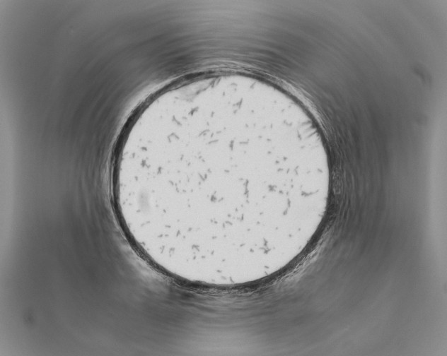 X0000111370987200908211314