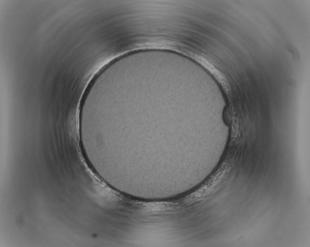 X0000111370988200908211314