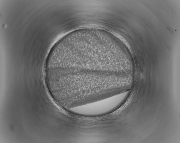 X0000111370989200908211314