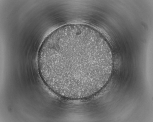 X0000111370990200908211314