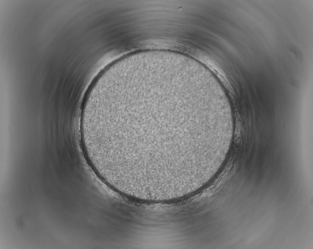 X0000111370992200908211314
