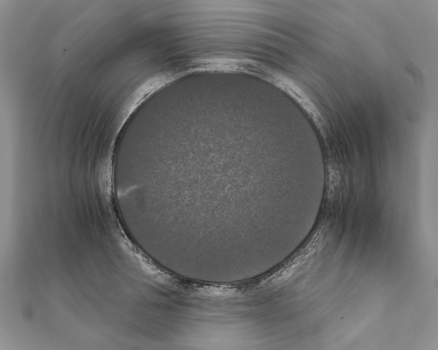 X0000111370994200908211314