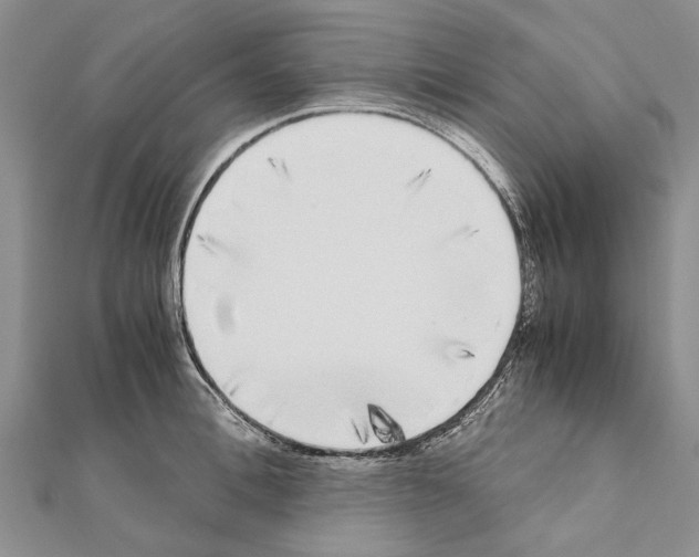 X0000111370996200908211314