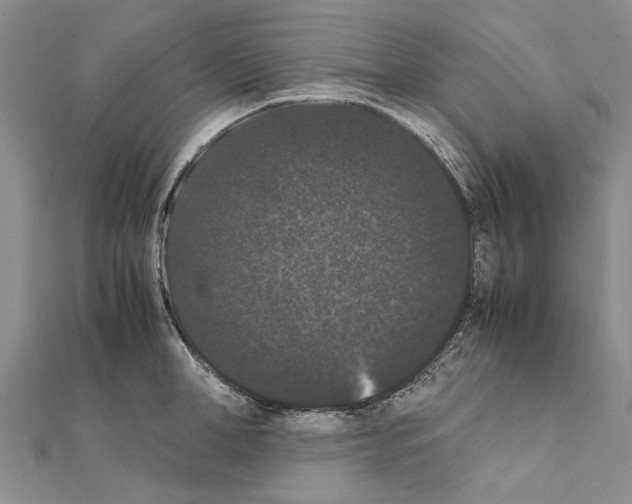X0000111370998200908211314